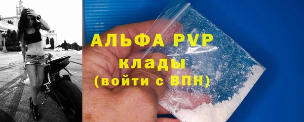 спиды Карталы