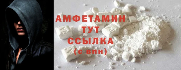 ECSTASY Алзамай