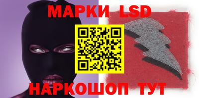 шишки Лесосибирск