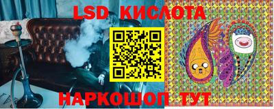 шишки Лесосибирск