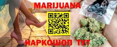 шишки Лесосибирск