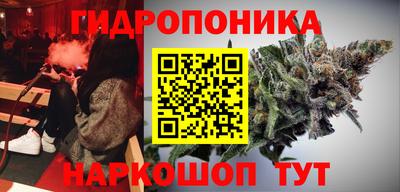 шишки Лесосибирск