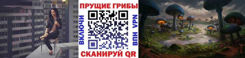 Галлюциногенные грибы MAGIC MUSHROOMS  Донской 