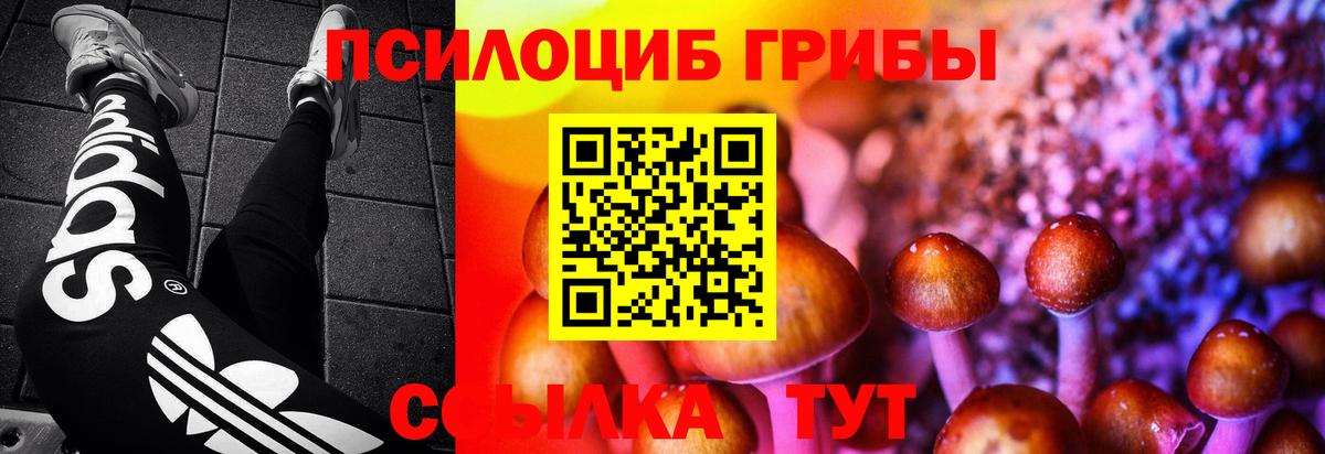 Донской  Галлюциногенные грибы MAGIC MUSHROOMS  дарнет шоп  Вход с VPN  Псилоцибиновые грибы прущие грибы 